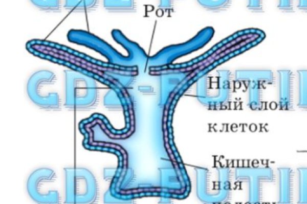Сайт кракен тор