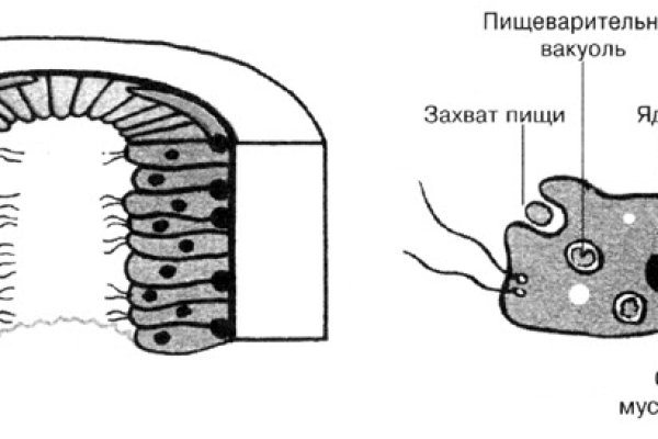 Кракен сайт регистрация