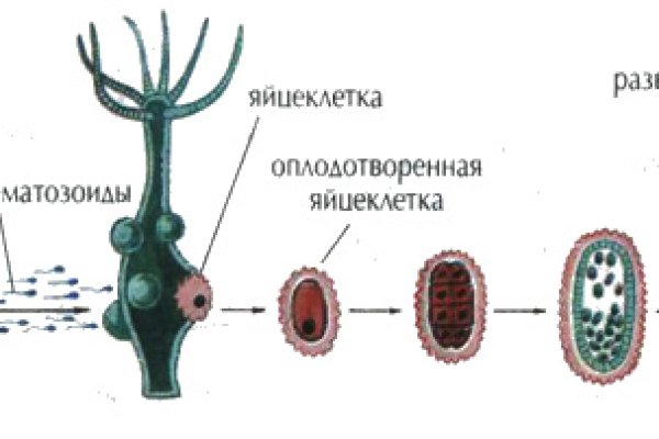 Kraken даркнет маркет