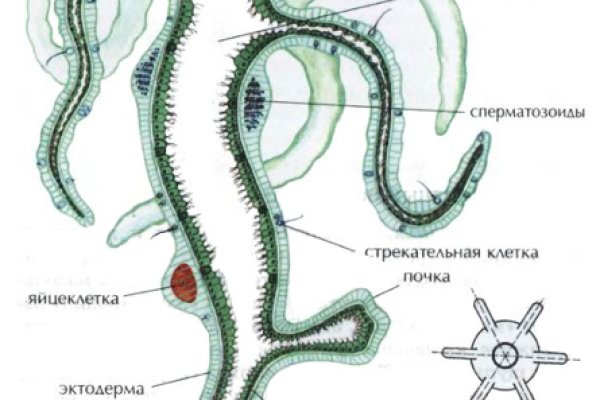 Как зарегаться в кракен