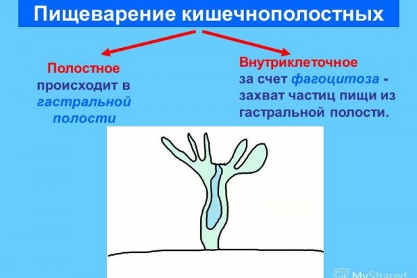 Как зайти на кракен через айфон