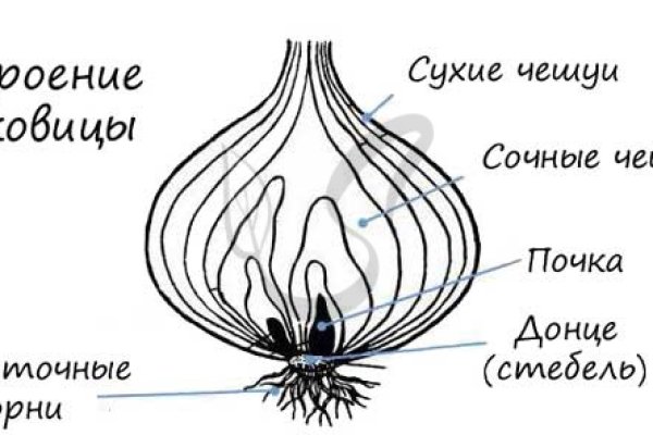 Craken12 at