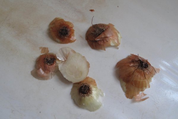 Kraken onion link