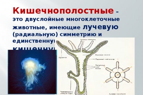 Kraken домен