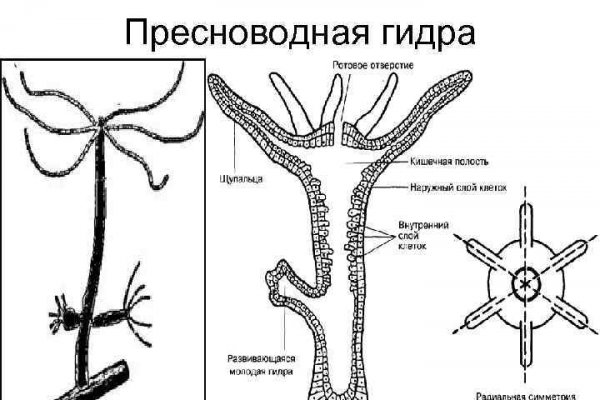 Не зачисляются деньги на кракен